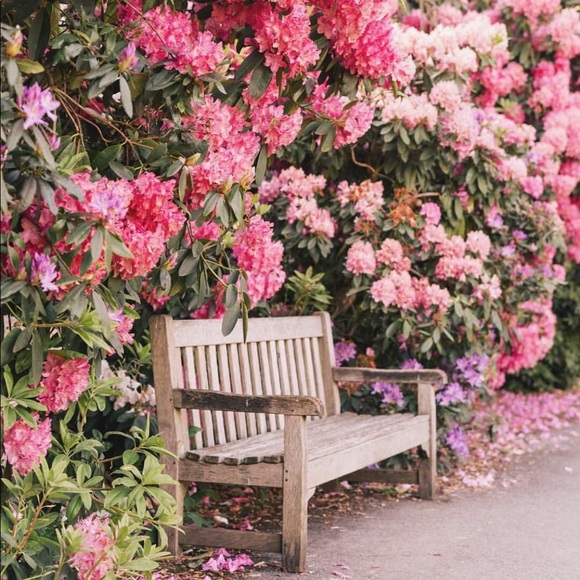 Hello Friends, welcome to Parkstone Lane - Picture 1 of 4